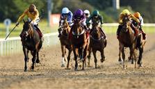 30 مليون دولار لإطلاق دوري لسباقات الخيل مستوحى من الفورمولا 1