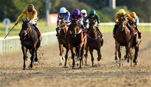 30 مليون دولار لإطلاق دوري لسباقات الخيل مستوحى من الفورمولا 1