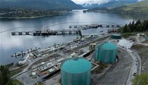 النفط يقفز 10% إلى 83.30 دولاراً للبرميل