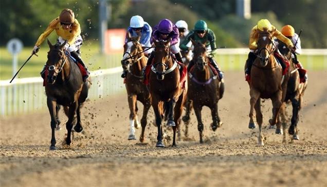30 مليون دولار لإطلاق دوري لسباقات الخيل مستوحى من الفورمولا 1