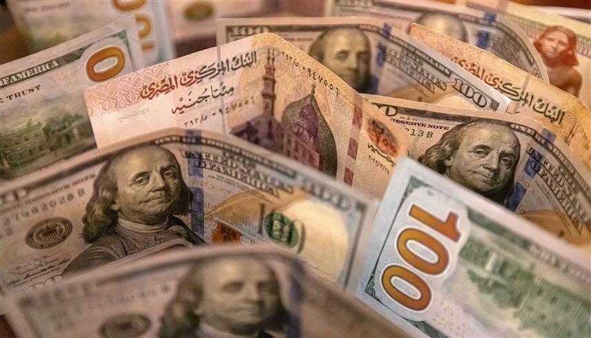عملتا الجنيه المصري والدولار الأمريكي (AFP)