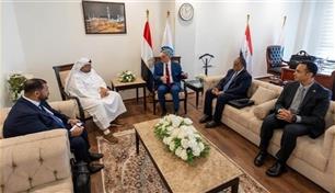 اجتماع إماراتي مصري يبحث توسيع الشراكة في مجالي البترول والطاقة
