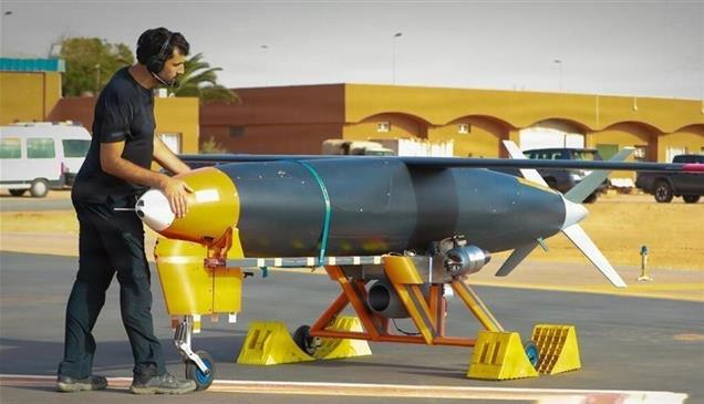 لسد فجوة الصواريخ.. ألمانيا تتجه إلى أسلحة منخفضة التكلفة