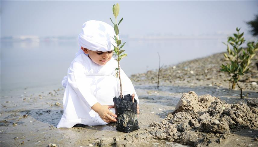 صورة من (وام)
