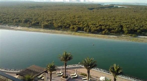 بالصور متنزه محمية القرم واحة أبوظبي الساحرة