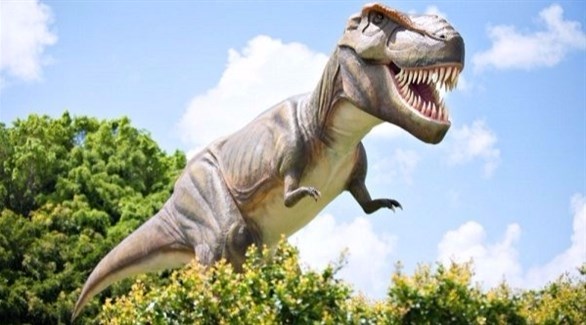 ديناصور صورة أنواع الديناصورات