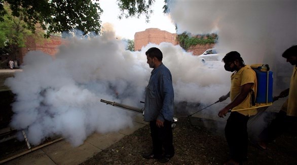 استمرار عمليات رش المبيدات الحشرية لمنع انتشار حمى الضنك (رويترز)