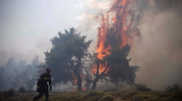 حرائق الغابات في اليونان (أرشيف)