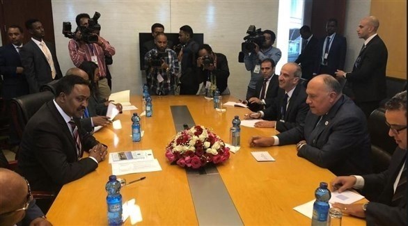 وزير الخارجية المصري سامح شكري يجري مناقشات مع نظيره الأثيوبي ركنه جيبيو (تويتر)
