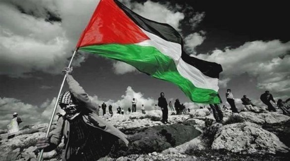 شاب يرفع العلم الفلسطيني.(أرشيف)