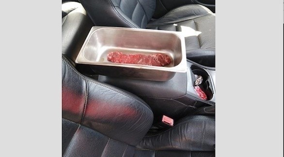 وضع شريحة اللحم داخل السيارة لساعات حتى تنضج (أوديتي سنترال)
