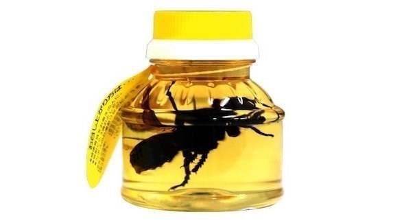 عبوة عسل تحتوي على دبور ضخم (أوديتي سنترال)