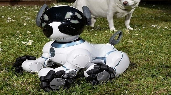 تشيب كلب روبوتي صديق للمسنين (ديلي ميل)