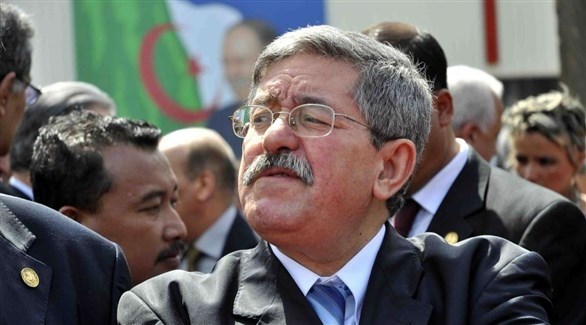 رئيس الوزراء الجزائري السابق أحمد أويحيى (أرشيف)
