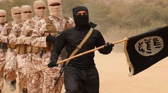 تنظيم داعش الإرهابي (أرشيف)