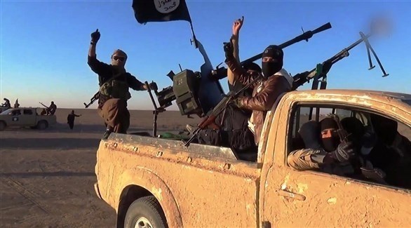 مقاتلون في تنظيم داعش الإرهابي (أرشيف)