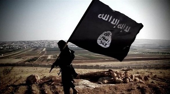 مسلح في تنظيم داعش الإرهابي (أرشيف)
