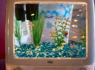 بالصور: 10 أفكار مدهشة لاستخدام حوض الأسماك في ديكور المنزل