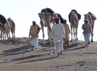 رحالة إمارتيون وعرب يستكشفون صحراء الإمارات