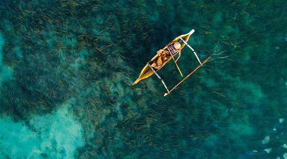 صياد إندونيسي يقود زورقه فوق الأعشاب البحرية - Karim IIiya