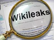 ويكيليكس ينشر وثائق سرية ألمانية 