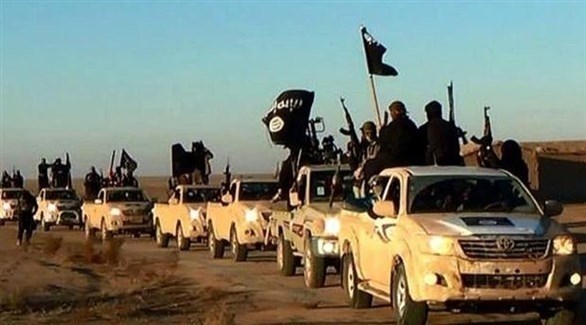 رتل مركبات لعناصر داعش في ليبيا (أرشف)