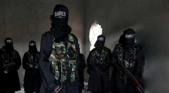 مقاتلات في صفوف تنظيم داعش (أرشيف)