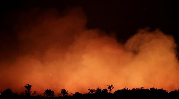 حريق في ولاية أمازوناس البرازيلية (رويترز)  