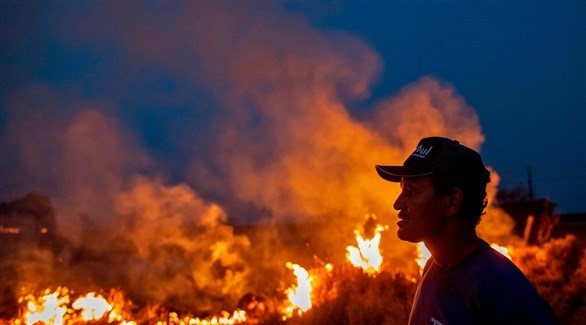 اندلاع مئات الحرائق الجديدة في غابات الأمازون بالبرازيل