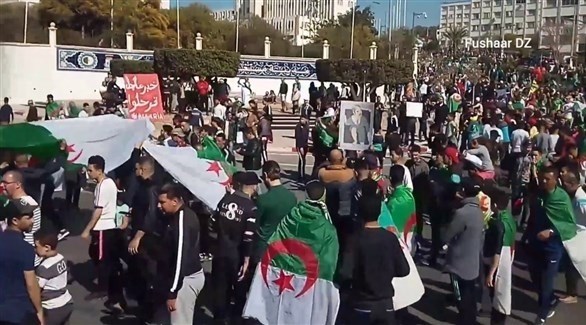 مظاهرات في الجزائر (أرشيف)