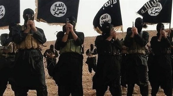 مقاتلون في تنظيم داعش الإرهابي (أرشيف)