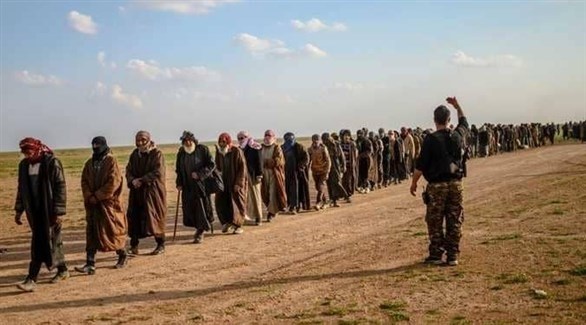 مسلحون من داعش الإرهابي في قبضة قوات سوريا الديمقراطية (أرشيف)
