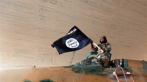 مقاتل من داعش يلوح بعلم من مقاتلة استولى عليها التنظيم عام 2015.(أرشيف)