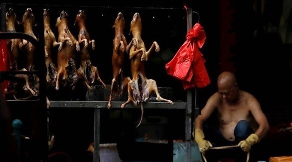 صيني يعمل في سوق لبيع لحوم القطط والكلاب (أرشيف)