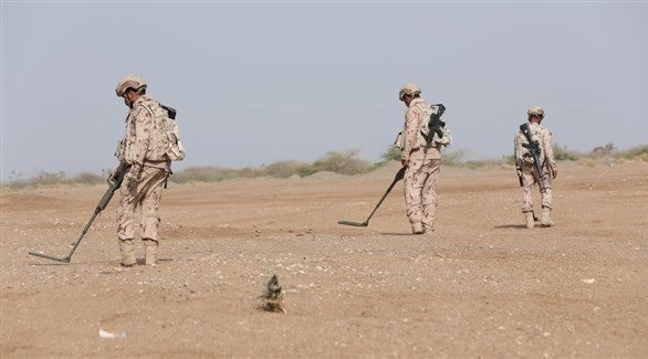 عناصر من القوات المسلحة الإماراتية تعمل على تطهير مناطق محررة في اليمن من الألغام (وام)