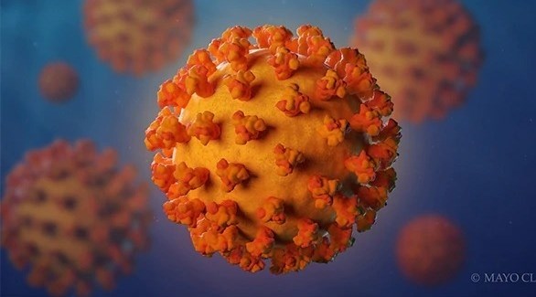 فيروس كورونا (أرشيف)