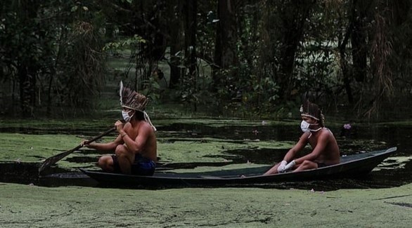 أفراد من قبيلة ساتير ماوي في البرازيل (ديلي ميل)