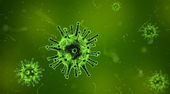 صورة مجهرية لشكل فيروس كورونا (أرشيف)