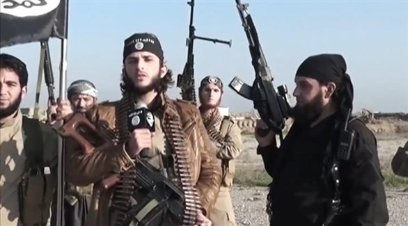 مقاتلون في تنظيم داعش (أرشيف)