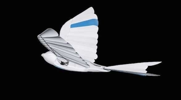 طائر "بيو سوفتونيك" الآلي الجديد من إنتاج شركة فيستو الألمانية (مايكروسوفت نيوز كيدز)