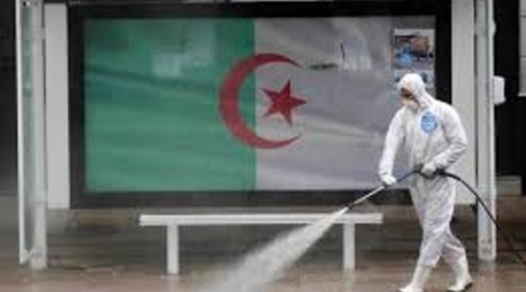 حملة تعقيم في الجزائر ضد كورونا (أرشيف)