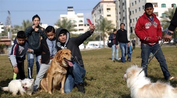 شبان فلسطينيون مع كلابهم في غزة (أ ف ب)