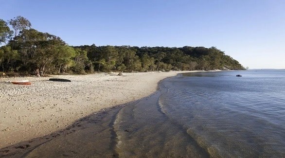شاطئ جزيرة فريزر في أستراليا (ذا صن)