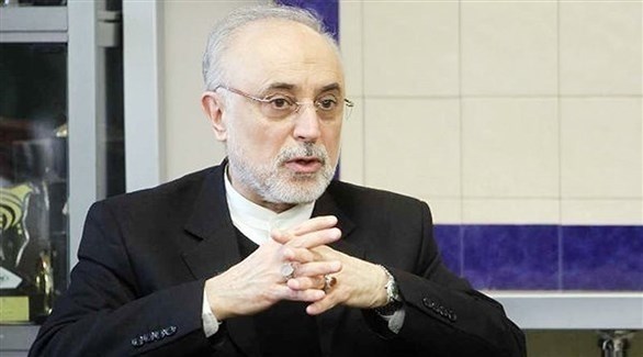 مدير وكالة الطاقة الذرية الإيرانية علي أكبر صالحي (أرشيف)