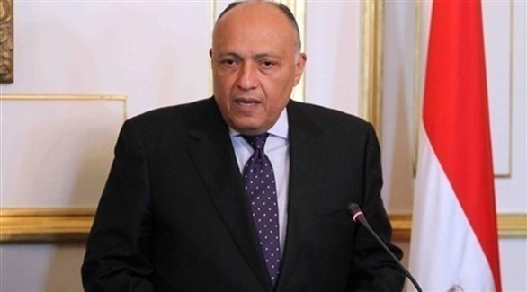 وزير الخارجية المصري سامح شكري (أرشيف)