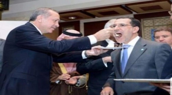 الرئيس التركي رجب طيب أردوغان عند إطعام ه في 2012 رئيس الوزراء المغربي الحالي سعد الدين العثماني (أرشيف)