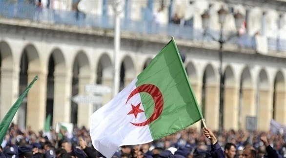 العلم الجزائري (أرشيف)