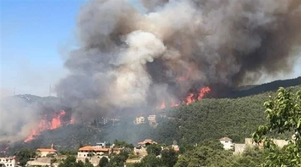 حرائق في غابات لبنان (أرشيف)