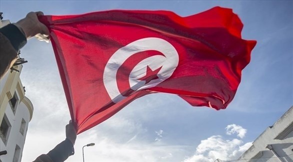 شخص يرفع العلم التونسي في الهواء (أرشيف)
