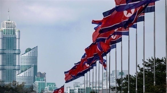 أعلام كوريا الشمالية بشارع في بيونغ يانغ ()
